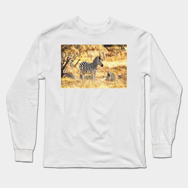 Zebras at Peace Long Sleeve T-Shirt by GrahamPrentice